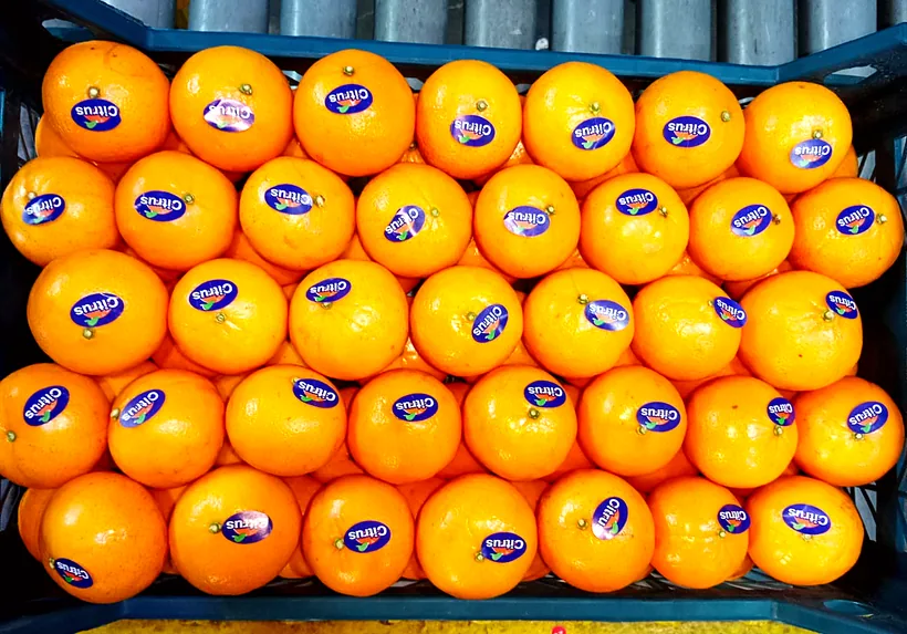 A crate of fresh oranges ready for delivery